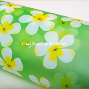 Giấy dán kính trang trí hoa đại mã A11
