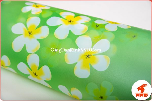 Giấy dán kính trang trí hoa đại mã A11
