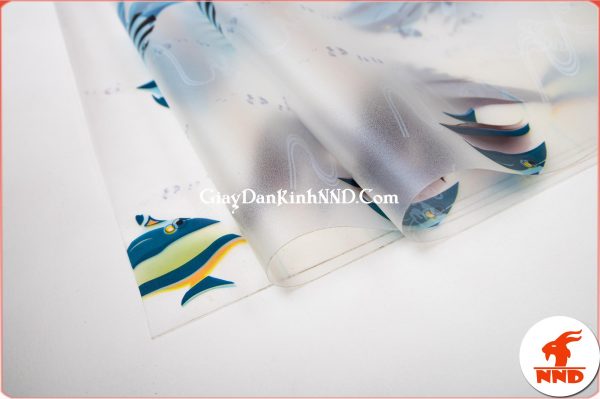 Giấy dán kính trang trí ngộ nghĩnh mã A23