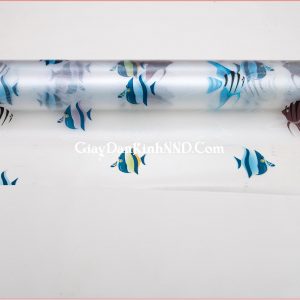 Giấy dán kính trang trí ngộ nghĩnh mã A23