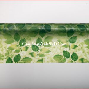 Hình ảnh cuộn giấy dán kính hình lá cây xanh mã A41
