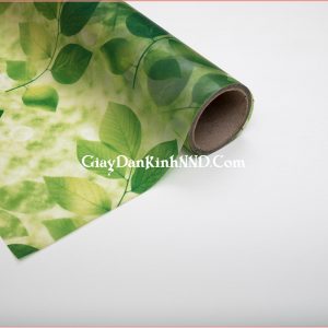Hình ảnh cuộn giấy dán kính hình lá cây xanh mã A41