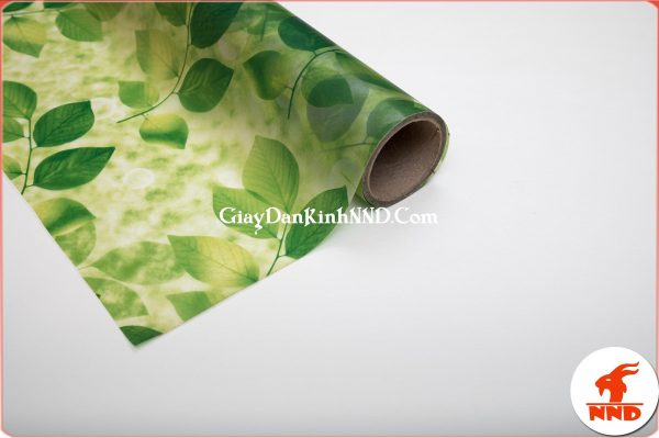 Hình ảnh cuộn giấy dán kính hình lá cây xanh mã A41