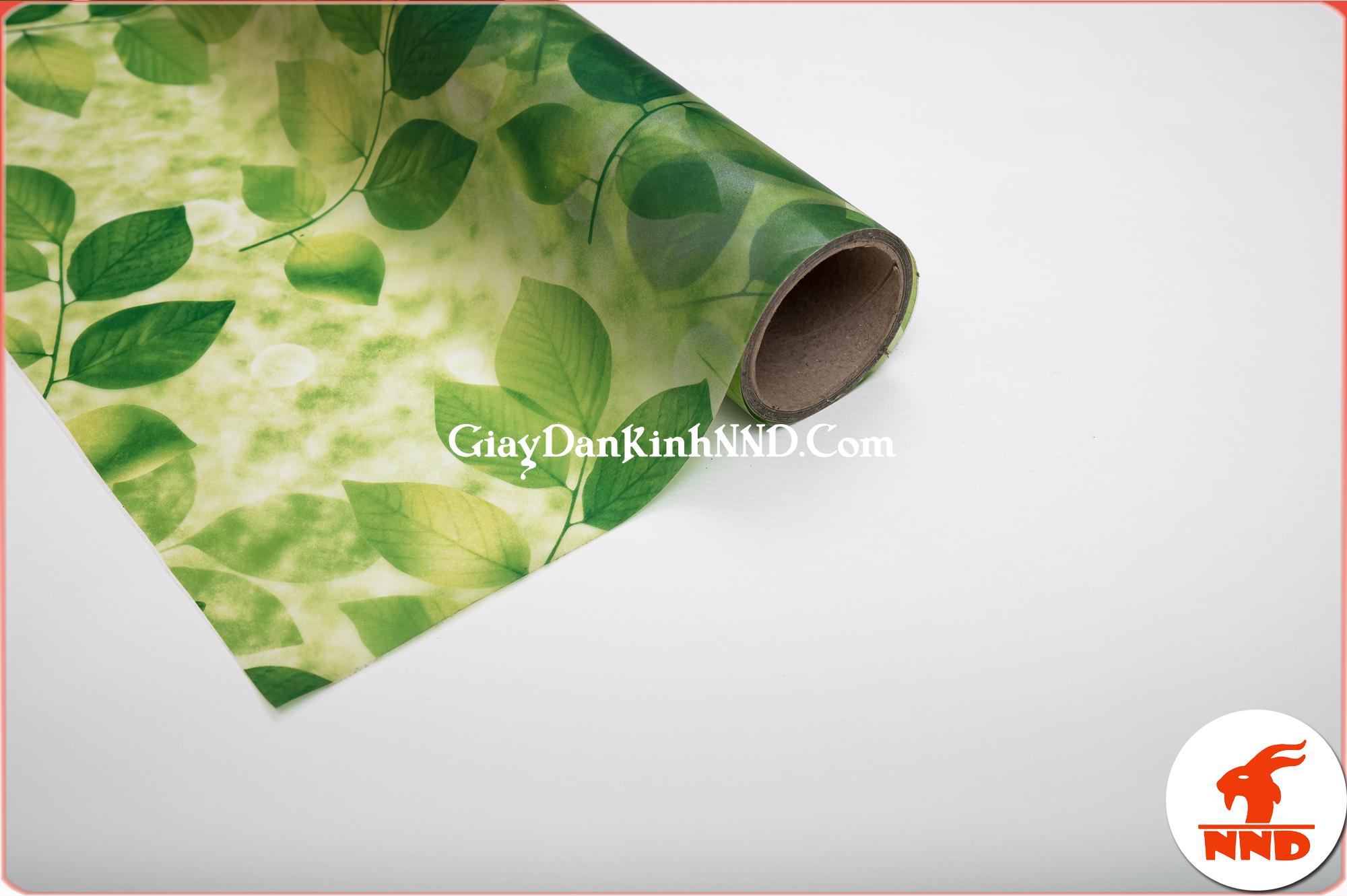 Hình ảnh cuộn giấy dán kính hình lá cây xanh mã A41