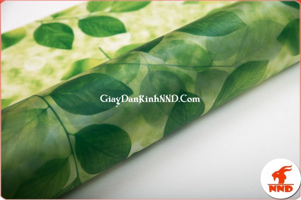Hình ảnh cuộn giấy dán kính hình lá cây xanh mã A41