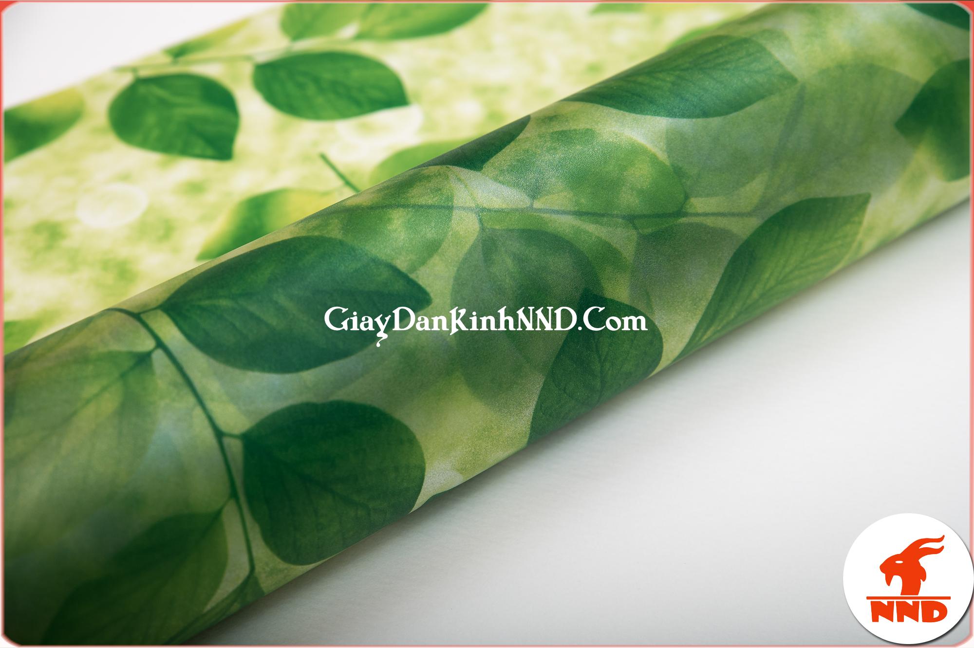 Hình ảnh cuộn giấy dán kính hình lá cây xanh mã A41