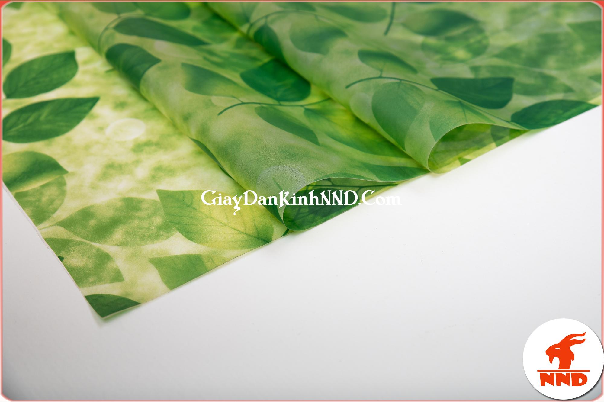 Hình ảnh cuộn giấy dán kính hình lá cây xanh mã A41