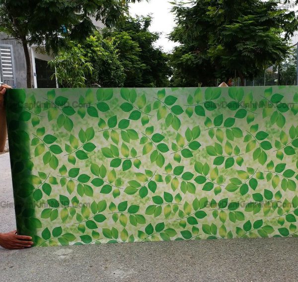 Hình ảnh cuộn giấy dán kính hình lá cây xanh mã A41