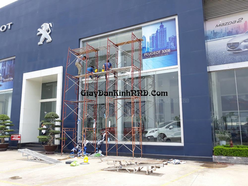 Hướng dẫn cách tự thi công decal lưới dán kính tại nhà