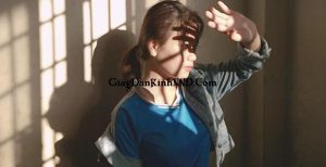 Với đặc điểm tỉ lệ phản gương cao trên 95%. Việc dán giấy kính phản quang sẽ giúp điều chỉnh cường độ sáng một cách phù hợp