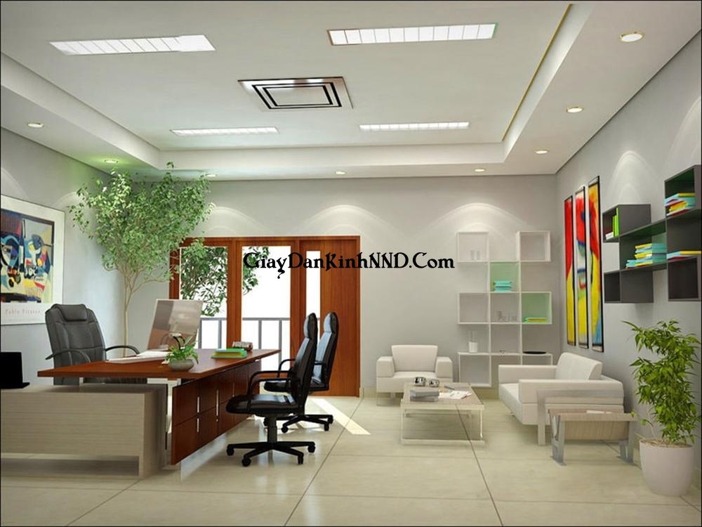 Đưa cây xanh vào văn phòng làm việc