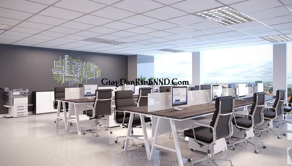 Ánh sáng tự nhiên sẽ giúp bạn bớt căng thẳng khi làm việc