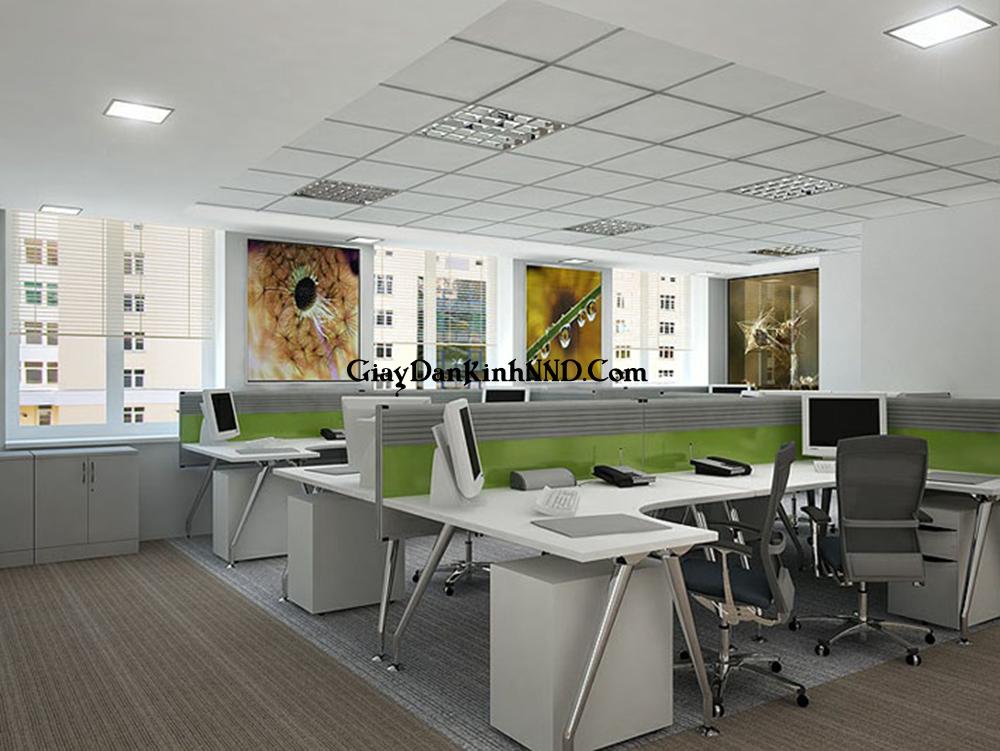 Phòng làm việc với thiết kế dành cho những người sáng tạo nghệ thuật