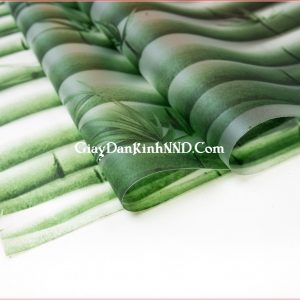 Mẫu giấy dán kính hoa văn hình cây trúc xanh vô cùng bắt mắt