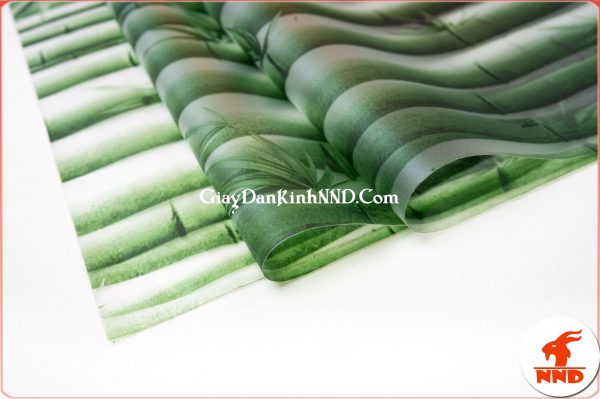 Mẫu giấy dán kính hoa văn hình cây trúc xanh vô cùng bắt mắt