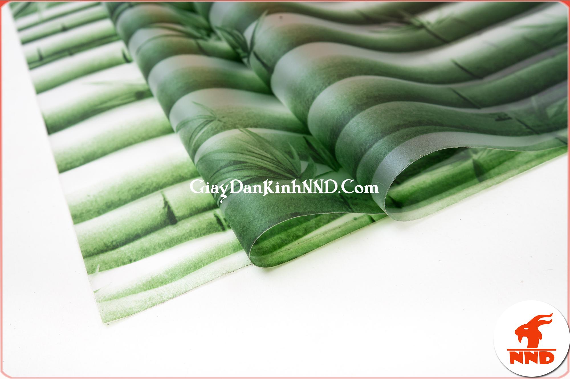 Mẫu giấy dán kính hoa văn hình cây trúc xanh vô cùng bắt mắt