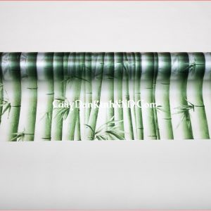 Mẫu giấy dán kính hoa văn hình cây trúc xanh vô cùng bắt mắt
