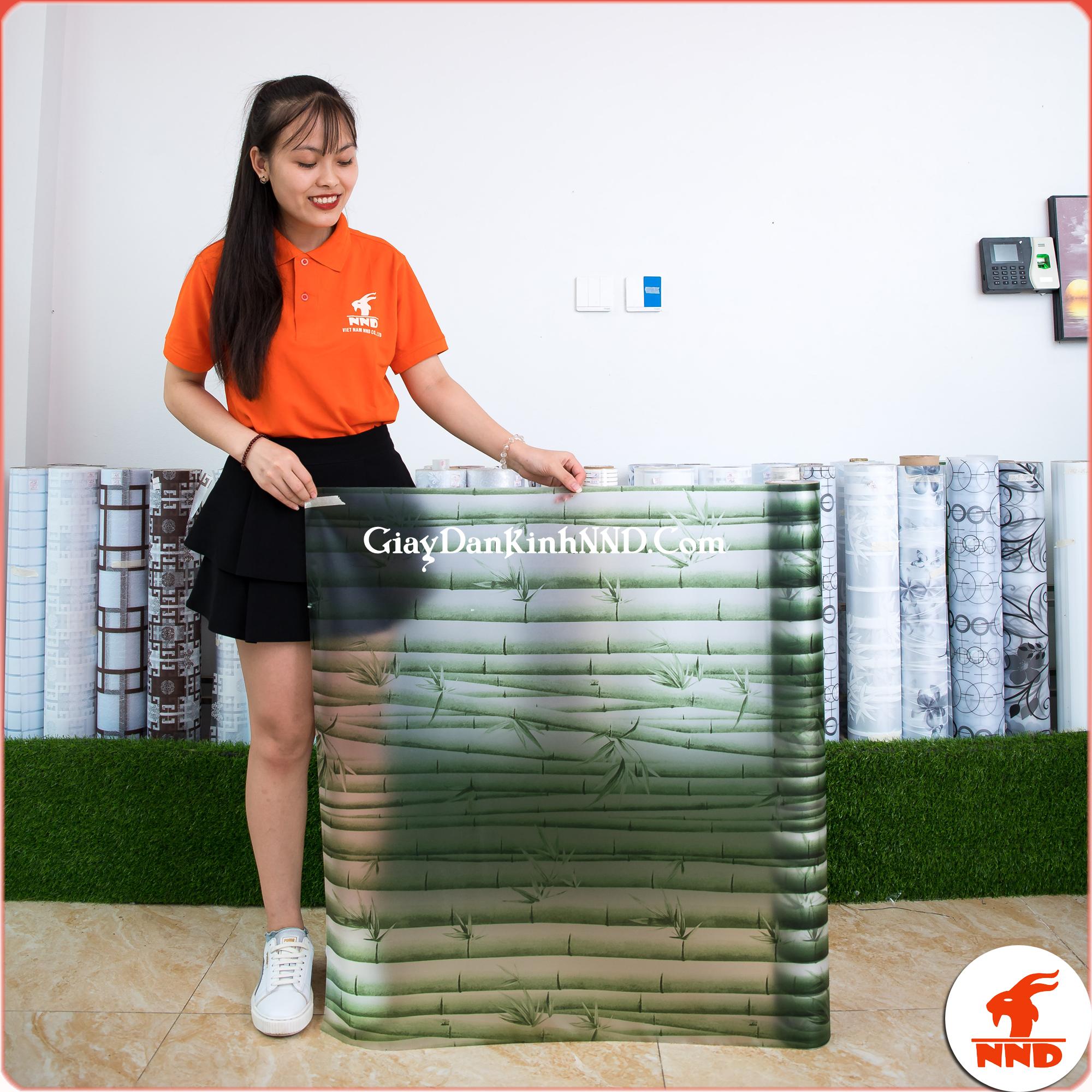 Mẫu giấy dán kính hoa văn hình cây trúc xanh vô cùng bắt mắt