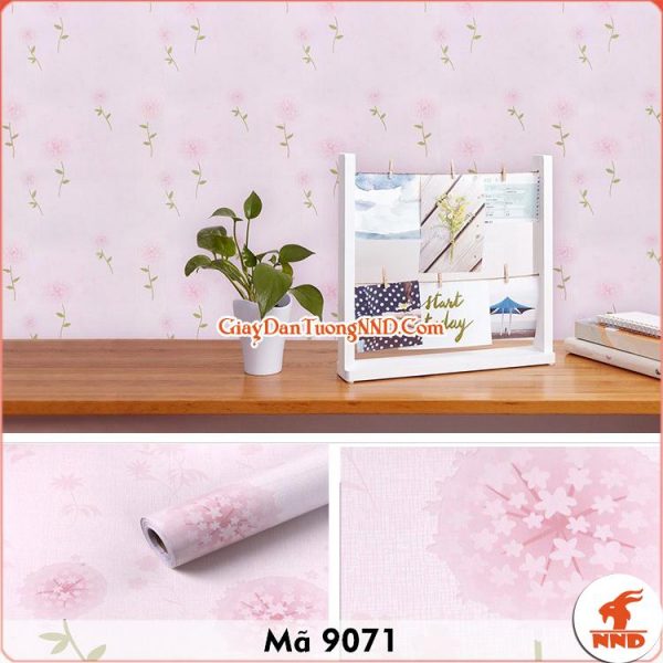 Decal dán tường màu hồng mã 9071