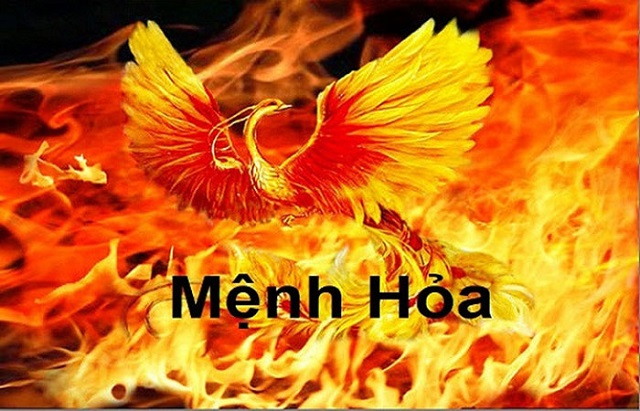 15+ Cây Để Bàn Làm Việc Hợp Mệnh Hỏa Hút Tài Lộc, May Mắn 1 Người mệnh Hỏa thường nóng nảy