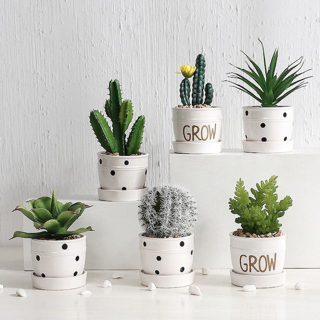 Cách Trang Trí Bàn Làm Việc Bằng Đồ Vật Đẹp, Ấn Tượng 1 Những chậu cây mini để bàn sẽ giúp không gian làm việc sinh động hơn