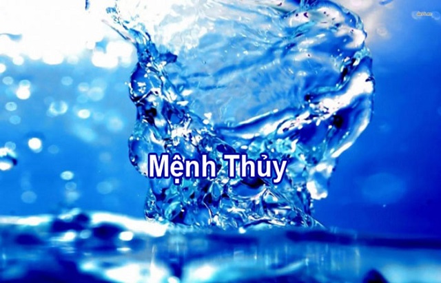 Tổng Hợp Các Loại Cây Để Bàn Làm Việc Hợp Mệnh Thủy 1 Sơ lược về người mệnh Thủy