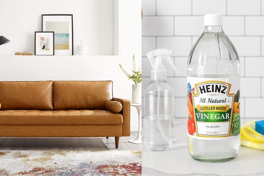 Tổng Hợp Các Cách Vệ Sinh Ghế Sofa Da Cực Sạch 2024 3 vệ sinh sofa da bằng dấm