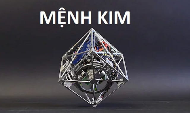 +9 Cây Để Bàn Làm Việc Hợp Mệnh Kim - Cập Nhật 2024 1 Tìm hiểu bản mệnh giúp việc chọn lựa cây để bàn dễ dàng hơn