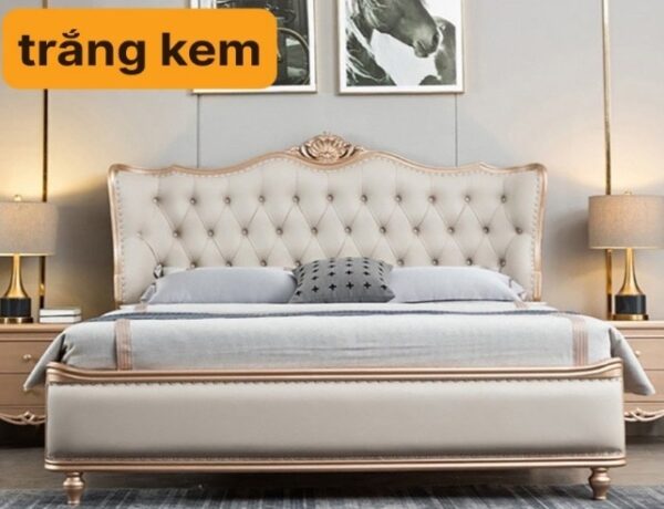 Giuong nhap khau GNKVP VN10