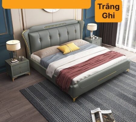 Giường nhập khẩu – GNKVP – VN13
