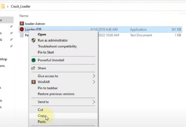 Driver Booster 9 Pro: Hướng dẫn cách tải và cài đặt phần mềm 10 Copy file Loader - IDB