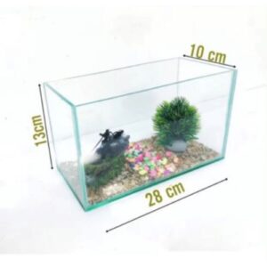 bể cá mini 28x10x13 để bàn làm việc