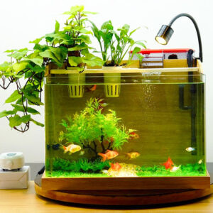 Bể cá mini viền gỗ