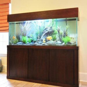 Bê Cá Rồng Chân Gỗ 180x60x90cm Setup Sẵn ( Đèn Led , Cây thủy Sinh , Bộ Lọc )