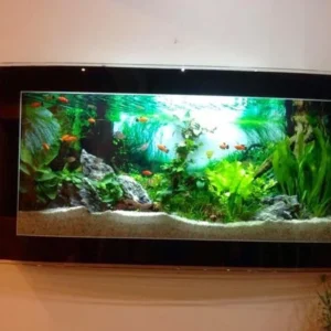 Bể Cá Treo Tường AQ3 cho phòng khách 1m2x40x40cm
