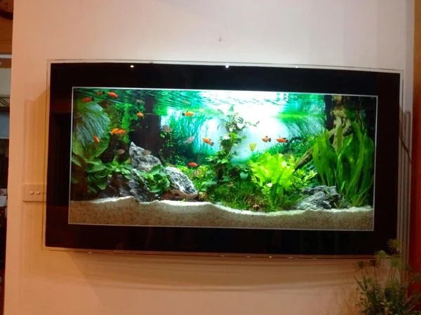 Bể Cá Treo Tường AQ3 cho phòng khách 1m2x40x40cm
