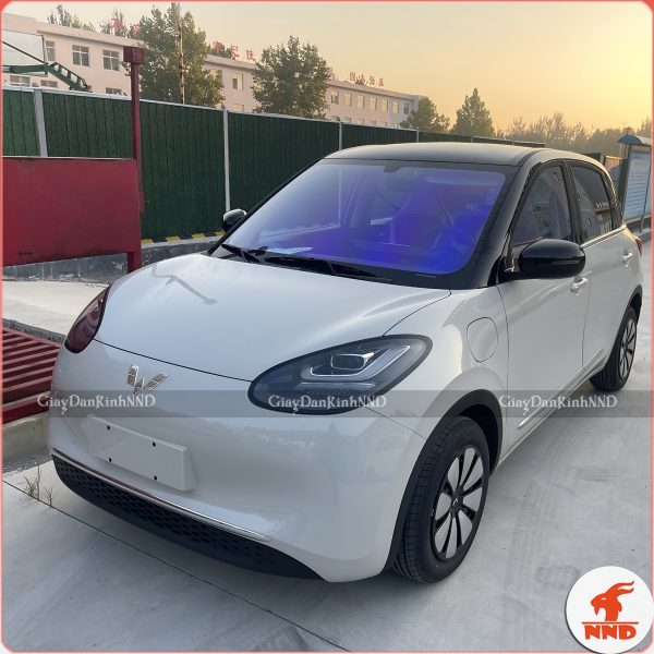 Phim kính lái siêu đẹp cho ô tô