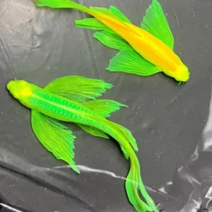 Kỹ thuật chăm sóc cá hàng ngày