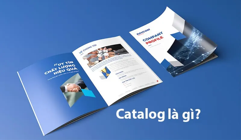 Catalogue xây dựng là gì?