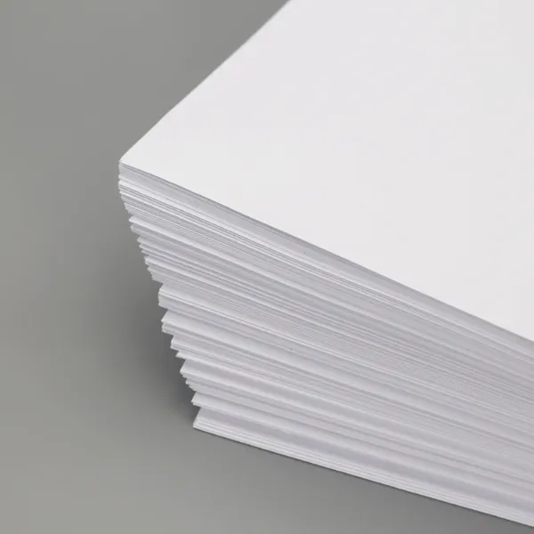 Đặc điểm của giấy Ivory