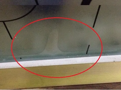 Gạt từ trên xuống