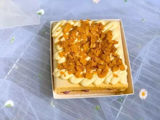 Mẫu hộp vuông đựng thức ăn