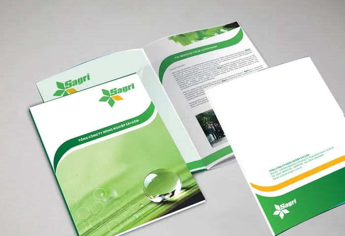 Mẫu profile năng lực công ty Sagri