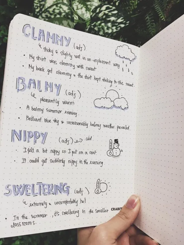 Vẽ ảnh minh họa cho từ vựng