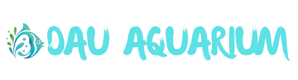 Dâu Aquarium